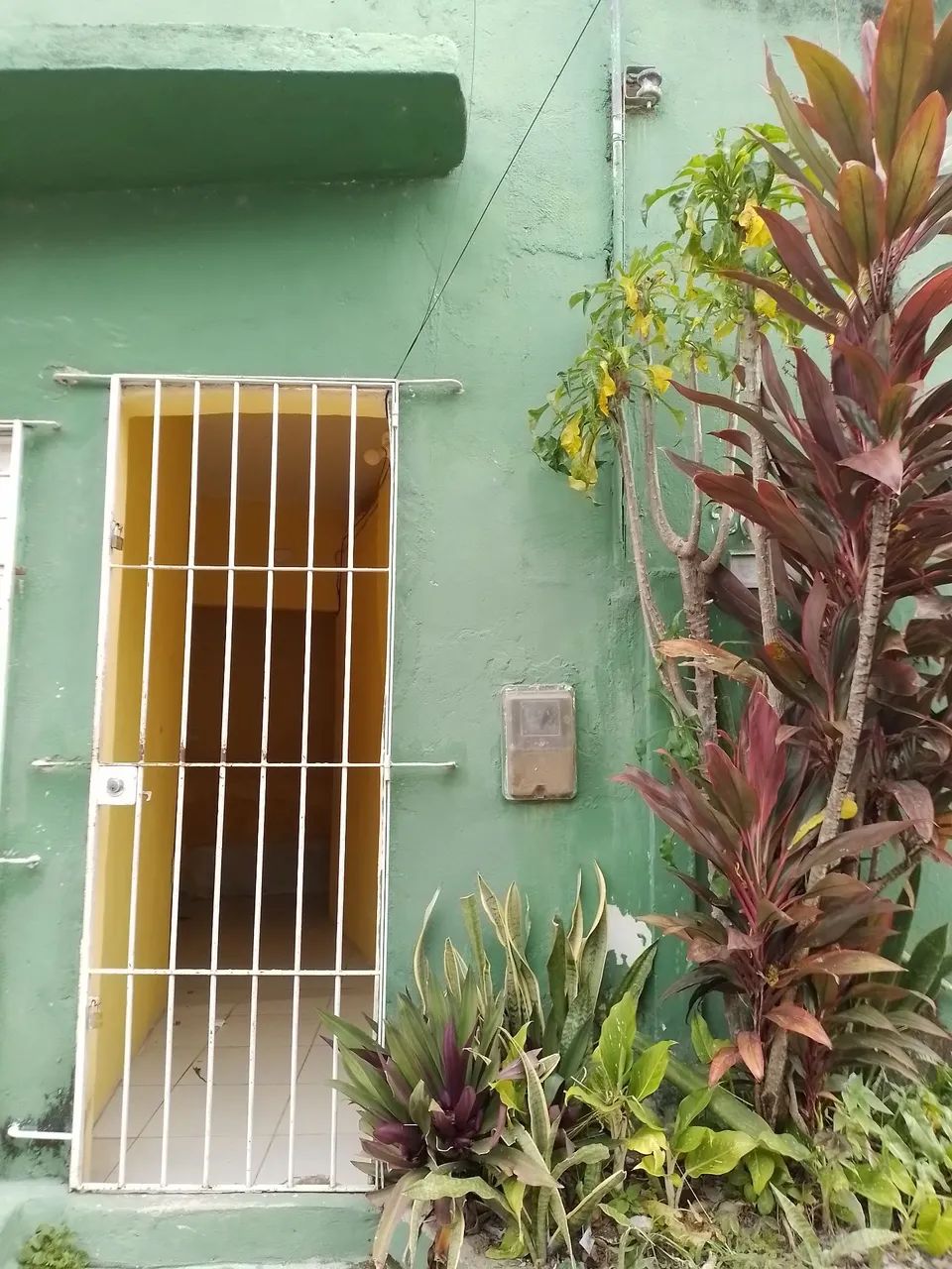 Foto - Paulista - Fragoso