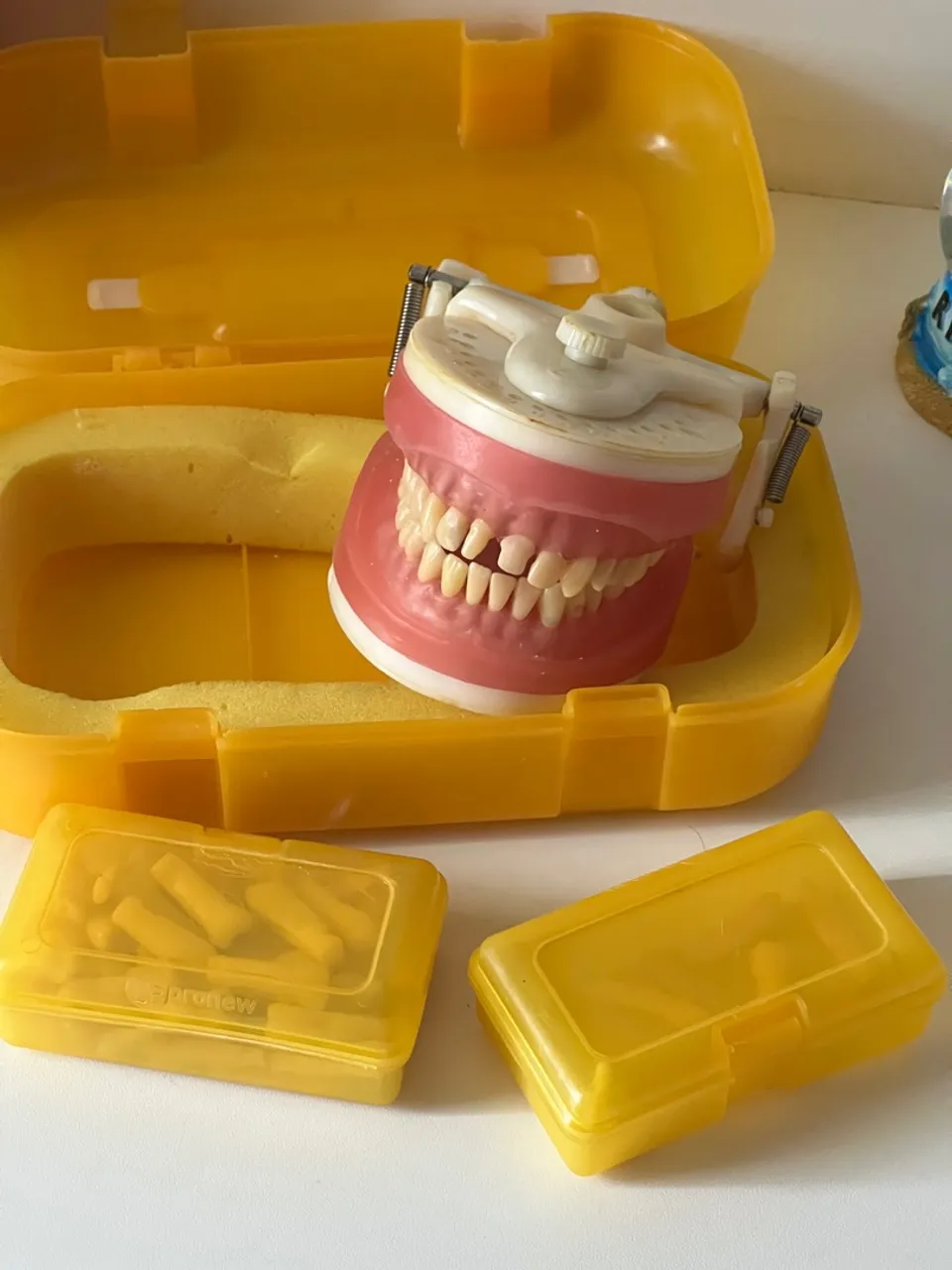 Manequim materiais dentários 