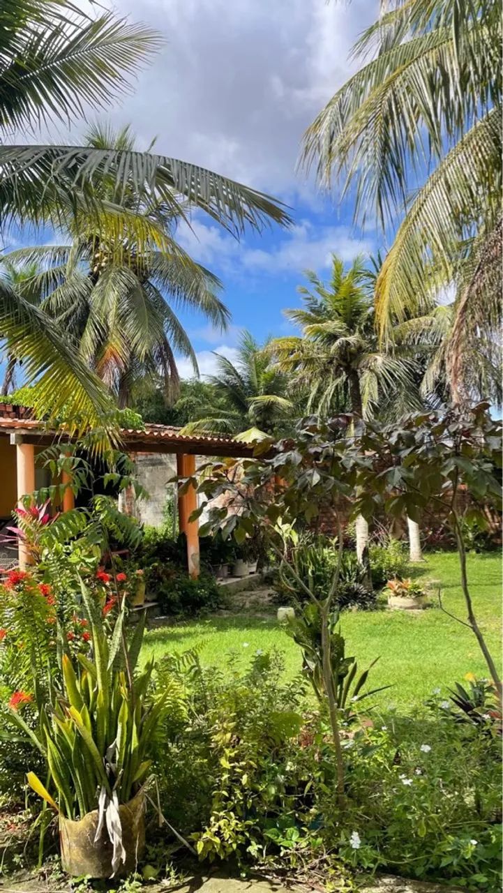 Foto - São José De Ribamar - 