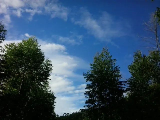 Oportunidade. Excelente Sítio em Nova Friburgo Ótima Área de Terreno - Foto 7