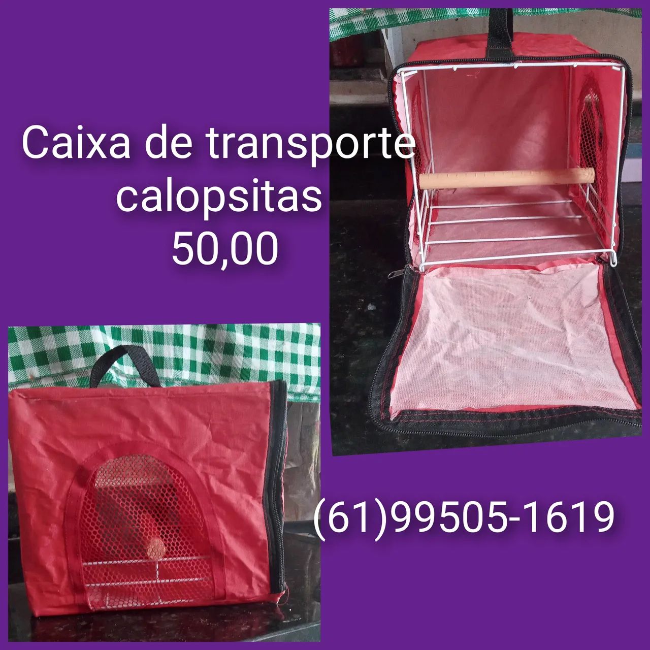 Casa cachorro semi nova! - Foto 5