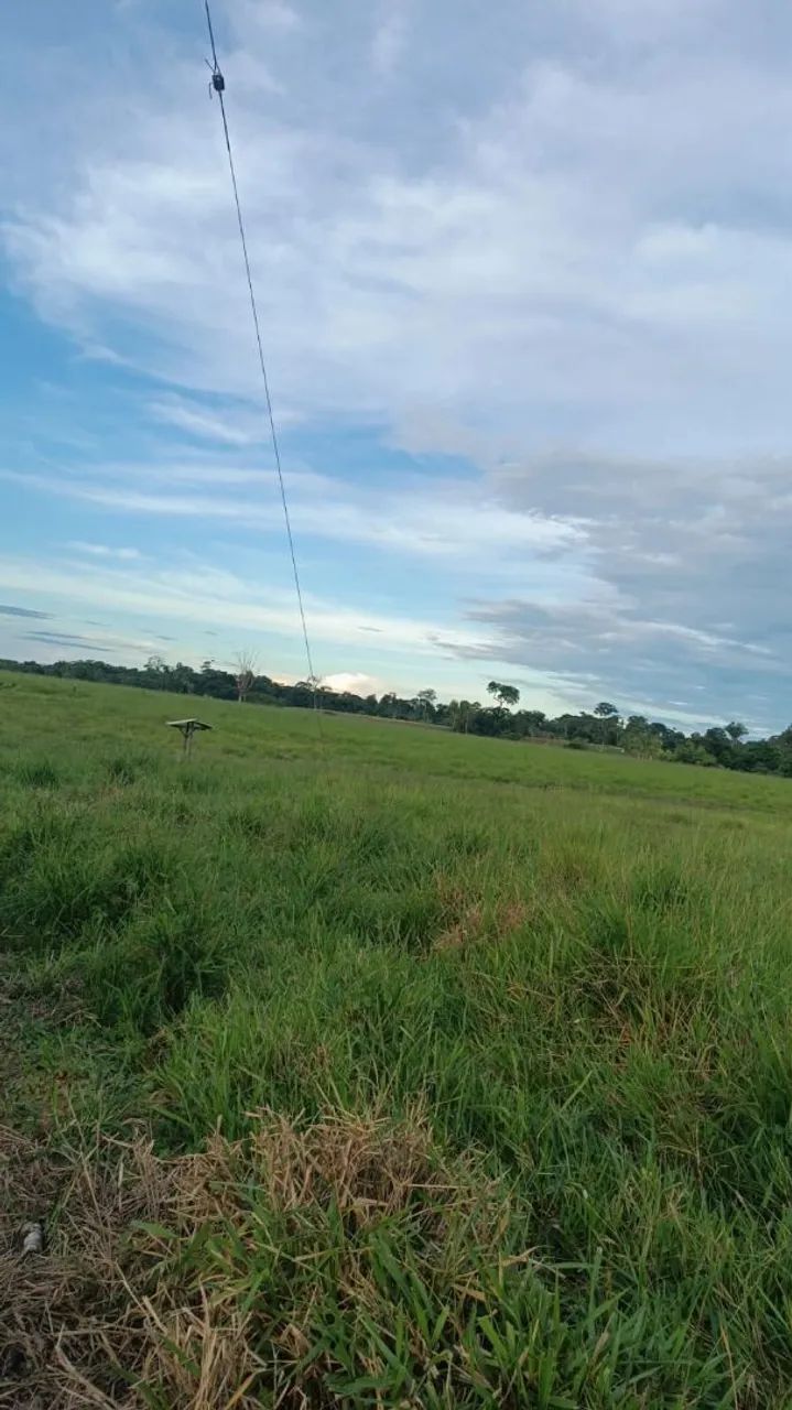 Terra a venda  - Foto 2