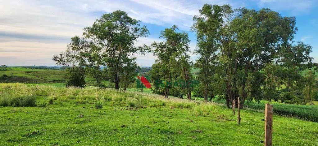Fazenda à venda, 171 Alq-SP por R$ 43.000.000 - Jataizinho - Jataizinho/PR - Foto 4