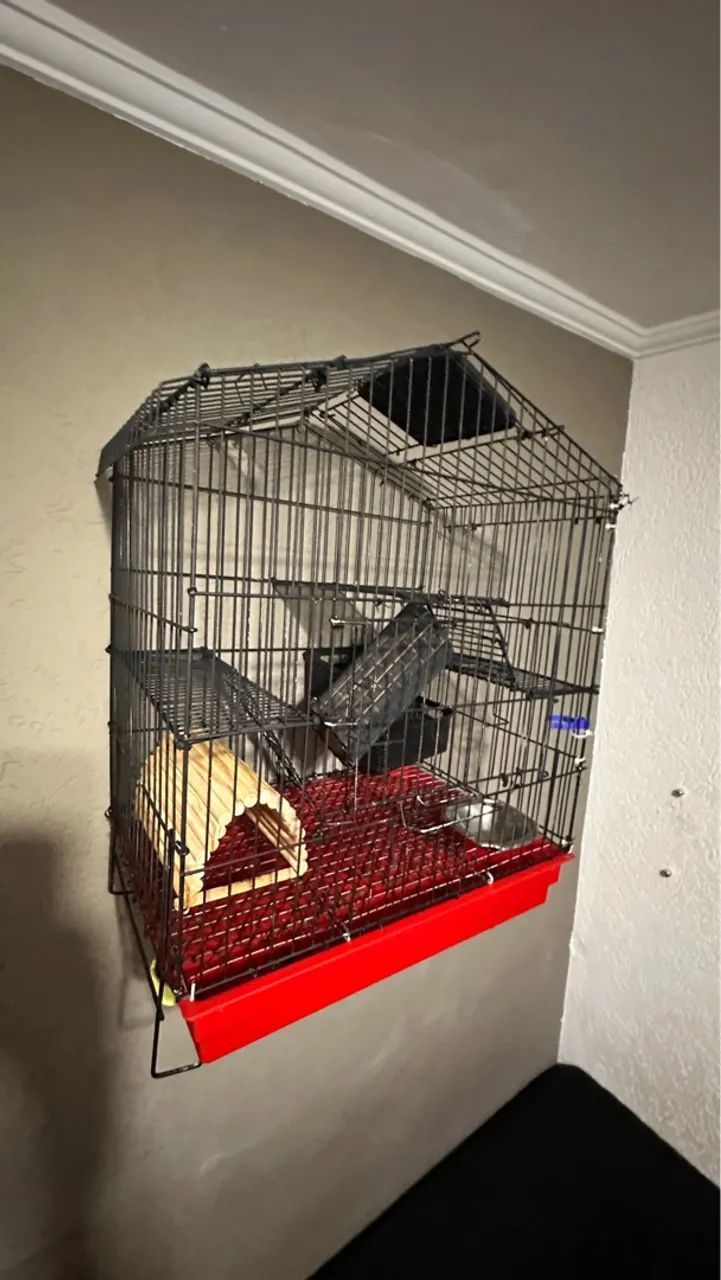 Gaiola para roedores