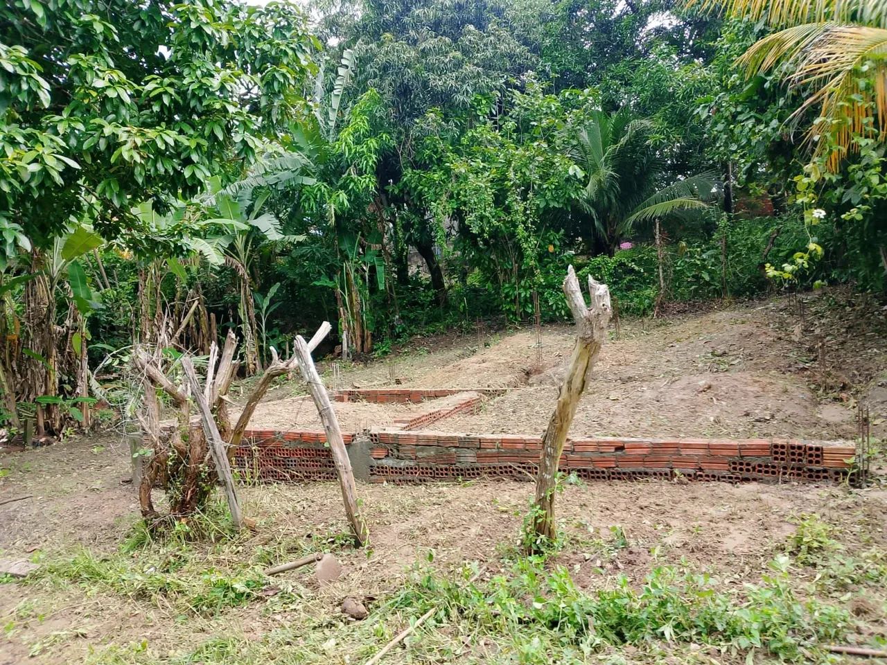 Terreno na cidade nova (gapara) - Foto 4