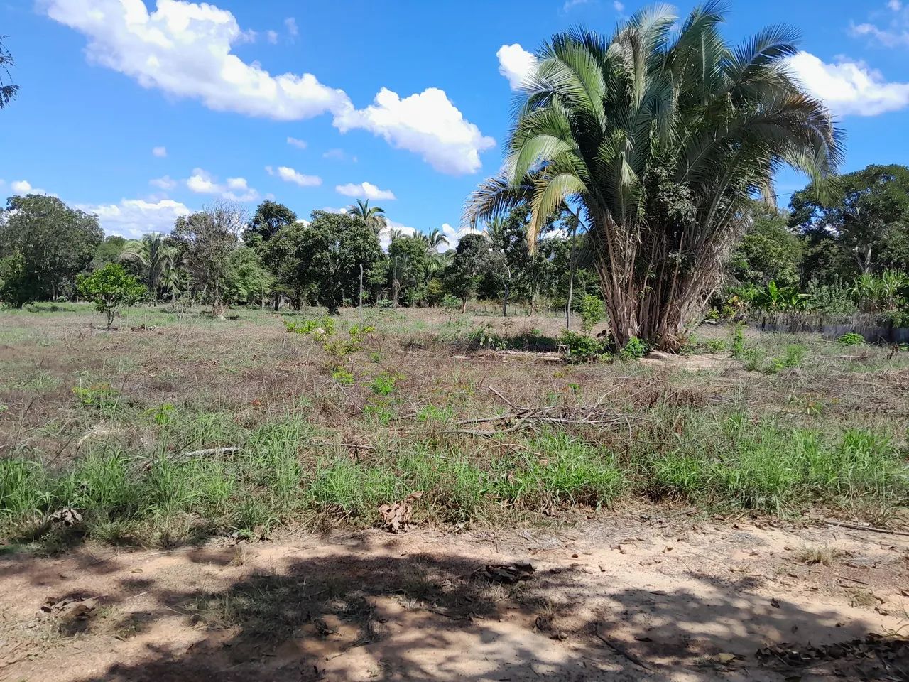 CHACARA DISTRITO DE SANTA ROSA DE LIMA PRÓXIMO DE FORMOSA E DO JK - Foto 3