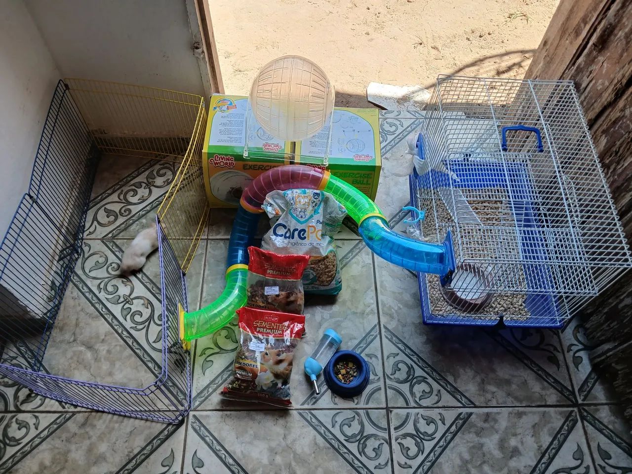 Hamster e Gaiola  - Foto 6