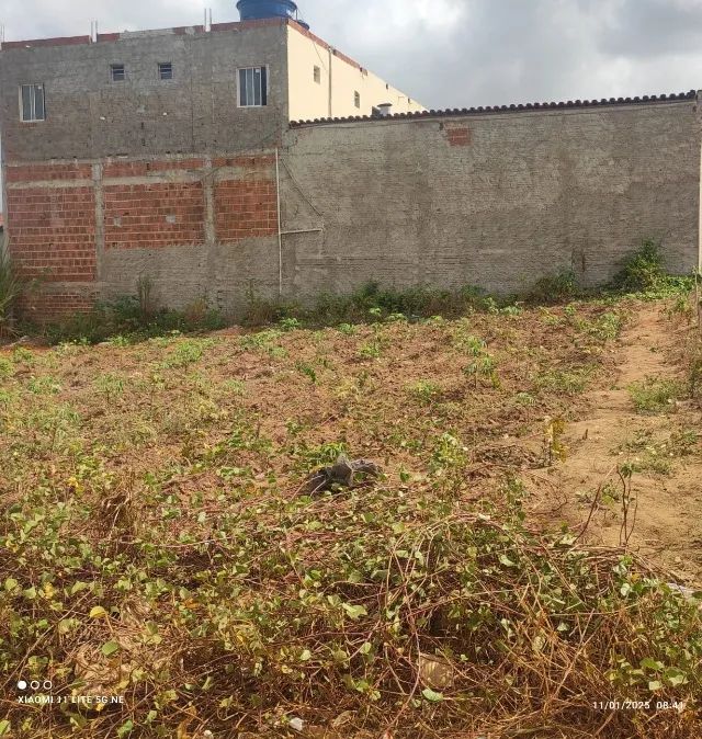 Venda de Terreno - Aliança /PE - Foto 2