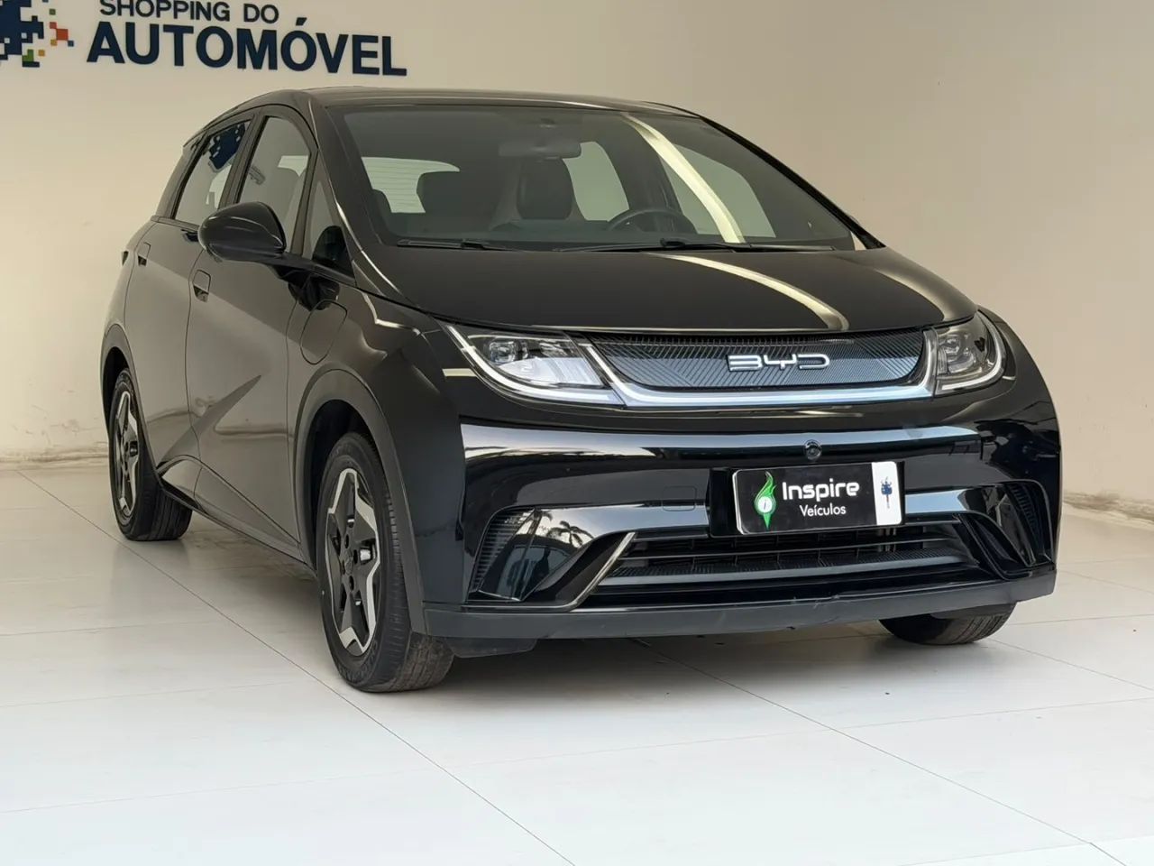 BYD Dolphin EV (Elétrico) 2024