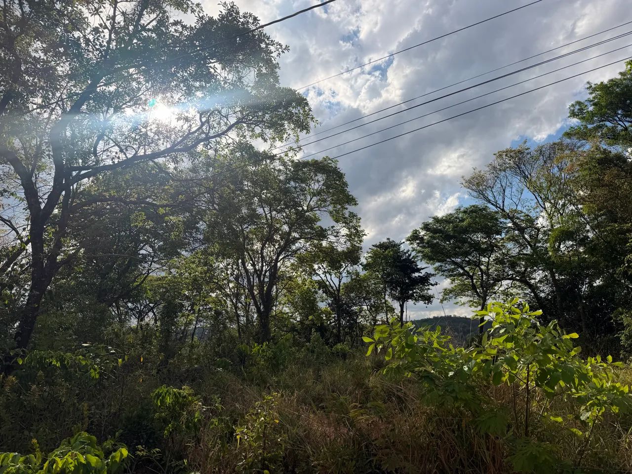 Vendo lote de 1.000m2 - Foto 4