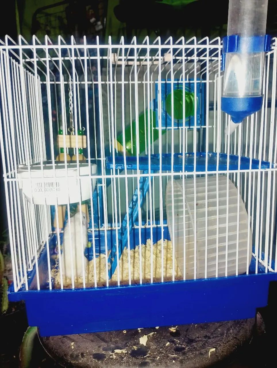 Hamster macho com gaiola e acessórios  - Foto 5