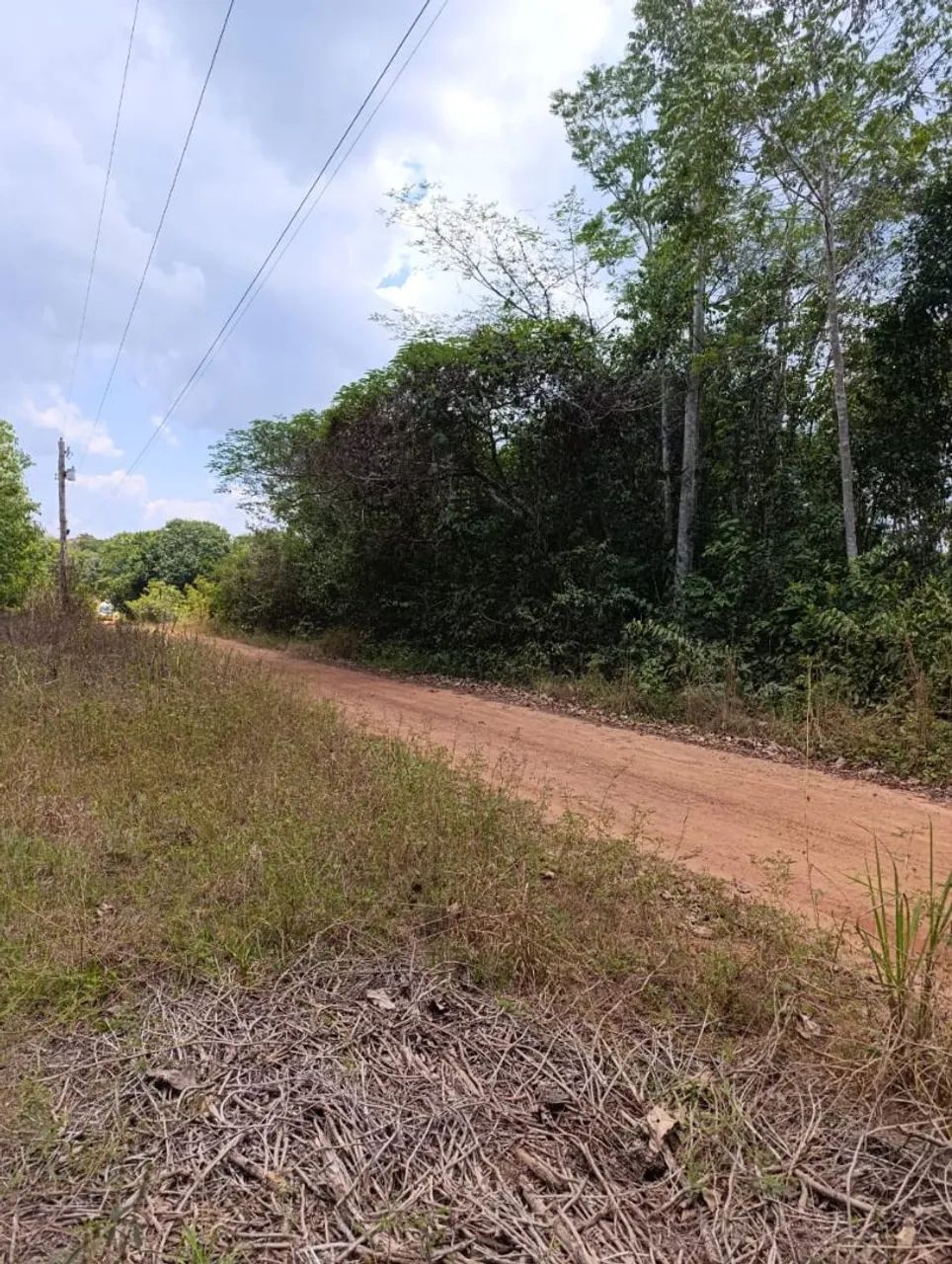 Terreno  - Foto 2