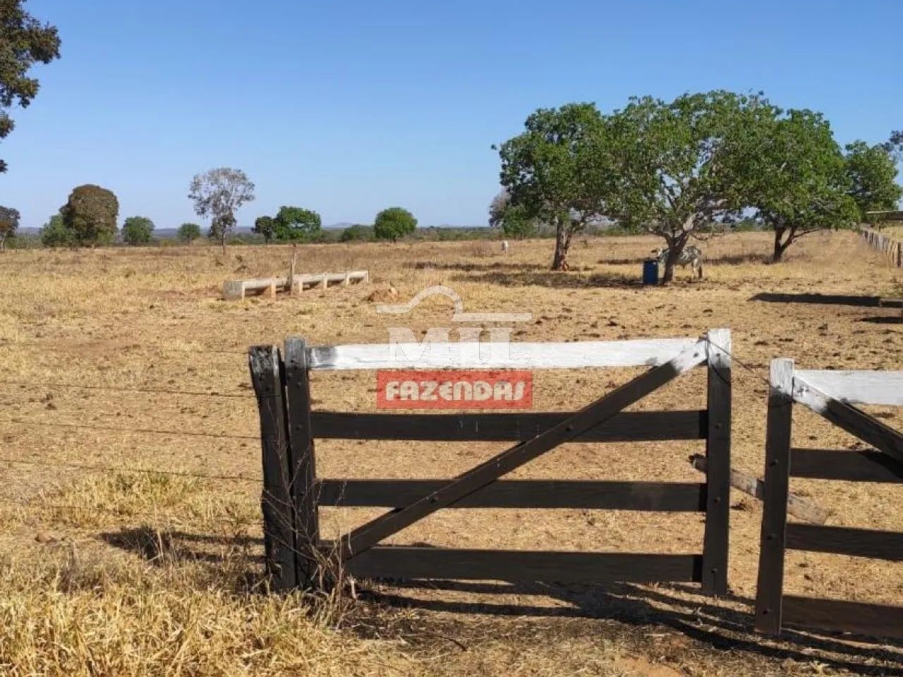 Fazenda em Porangatu-GO. - Foto 3
