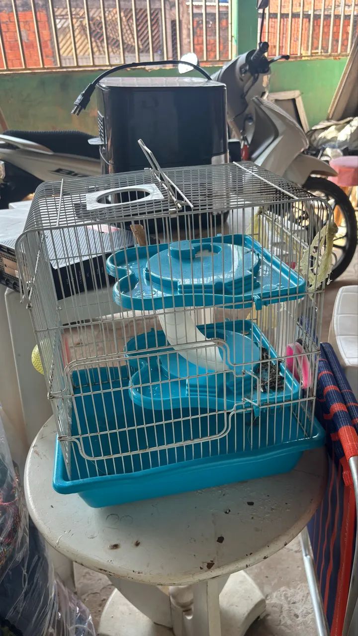 vende-se gaiola de hamster 