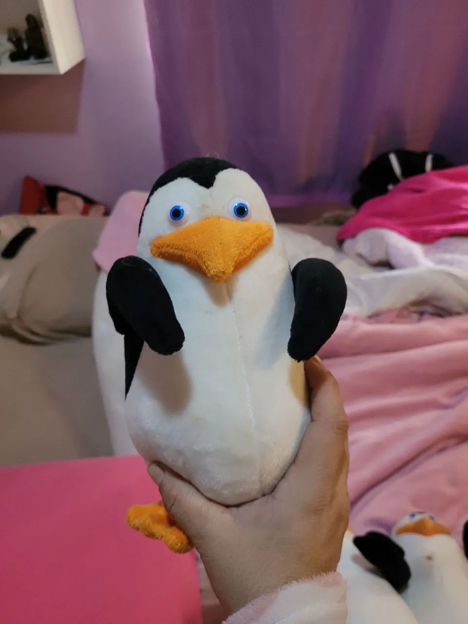 Pinguins Magadascar - Foto 3
