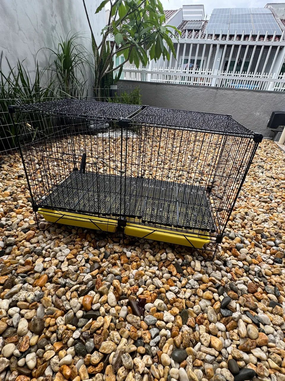 Gaiola porquinho da índia e mino coelho