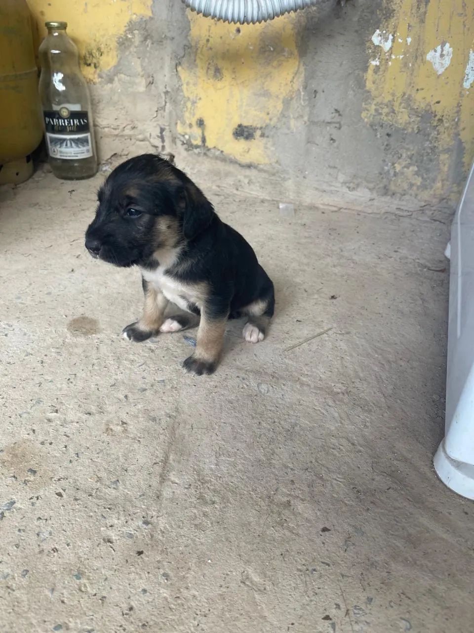 Doação  - Foto 2