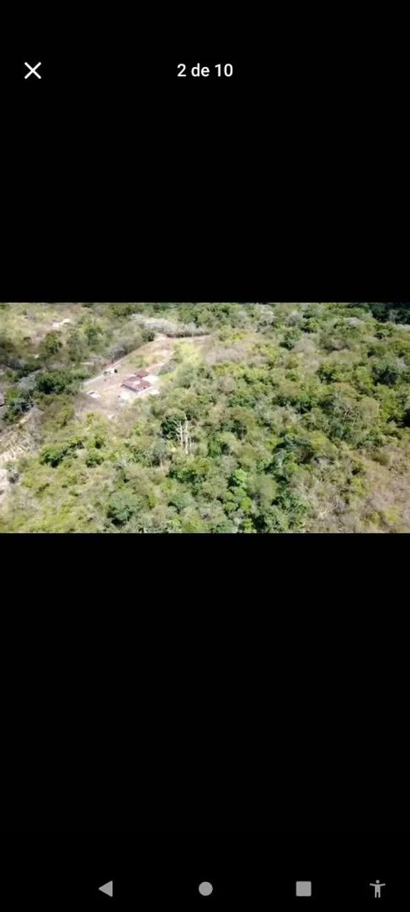 Vendo em Terra Vermelha  - Foto 2