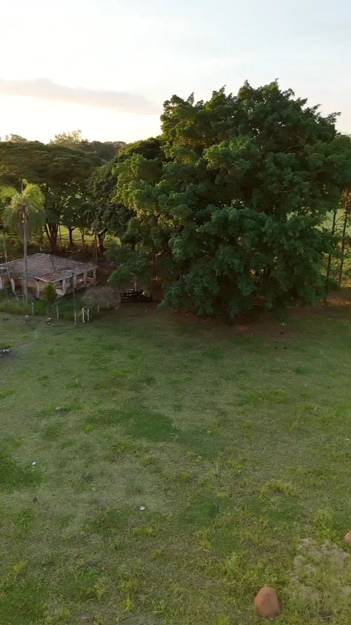 sitio com párea de 4,7 alqueires com ótima localização, e noa topografia - Foto 5
