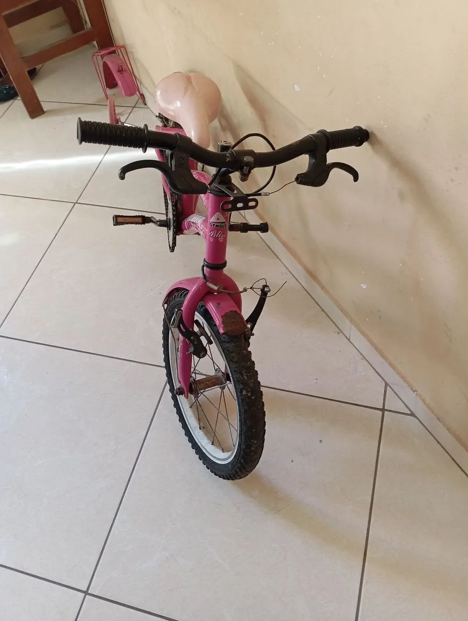 Bicicleta aro 16 só regulagem do freio da frente e, e dei e só pegar e andar 