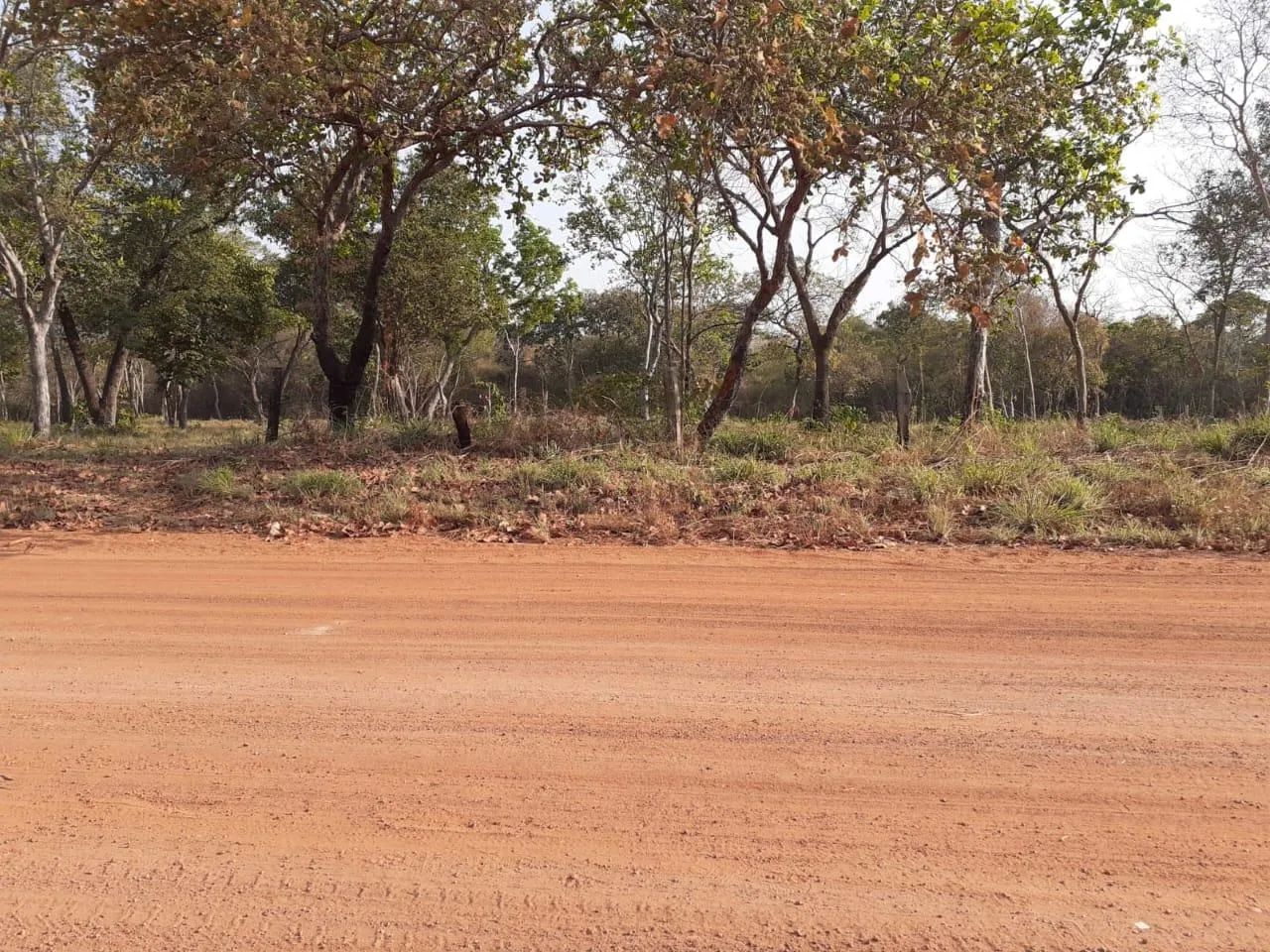 Área para Venda em Aruanã, Centro - Foto 5