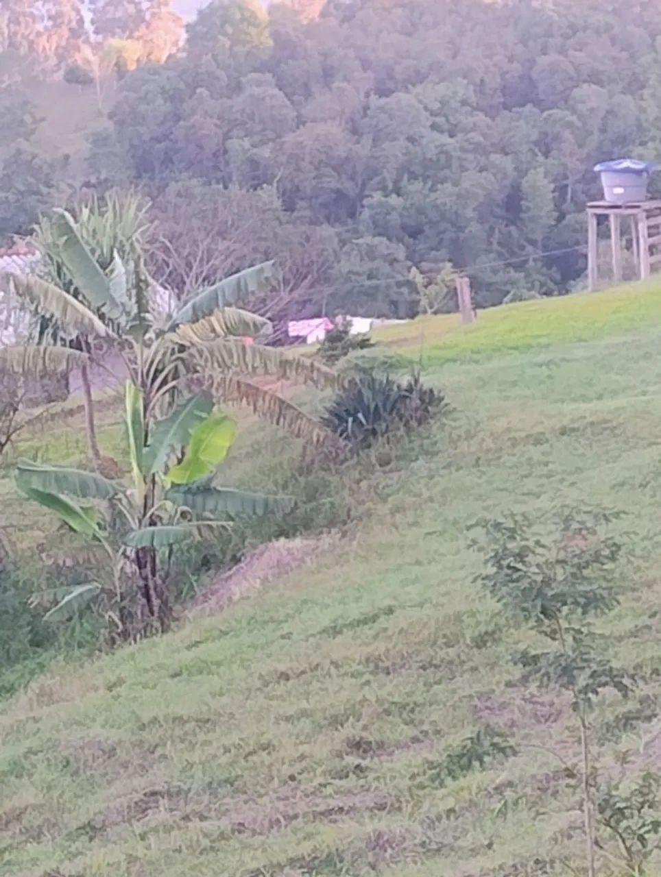 Chácara 4 alqueires e meio ,No interior De Campo Largo  - Foto 4