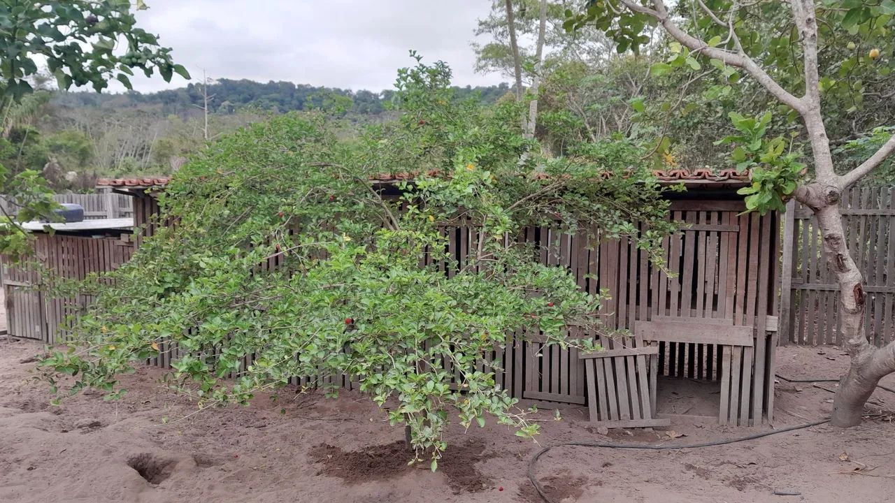 Casa a venda - Foto 5