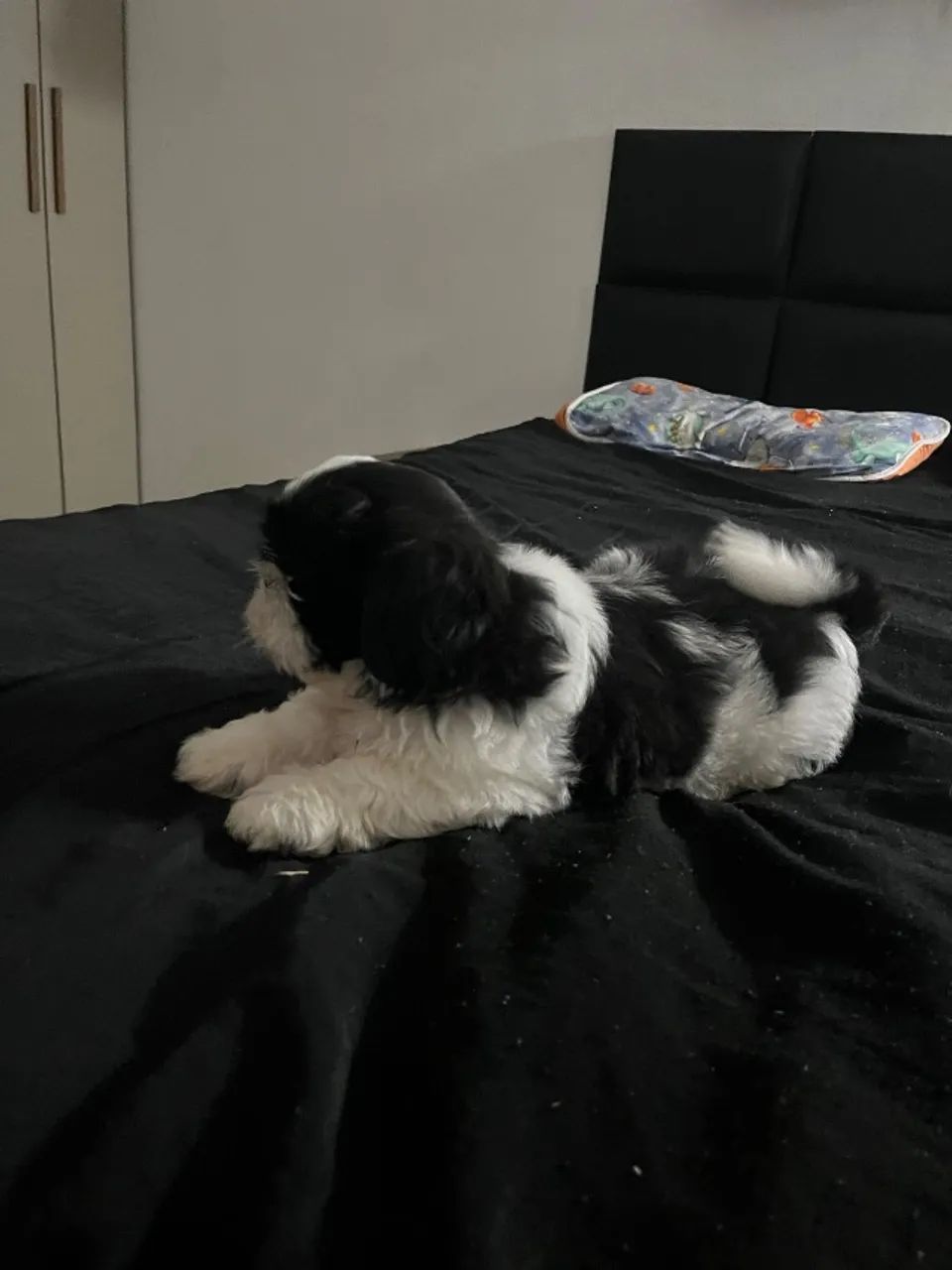 Vendo - Foto 3