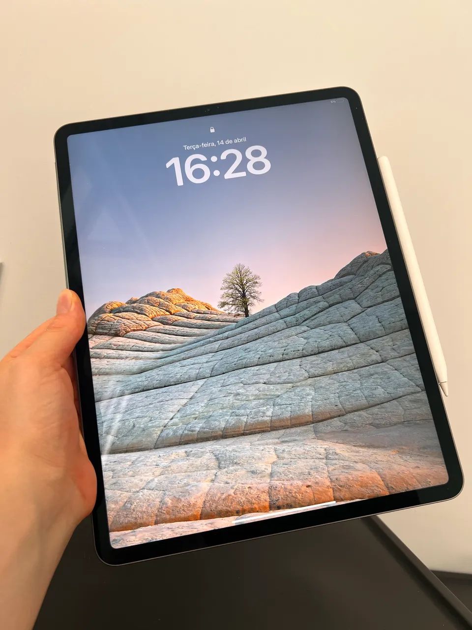 iPad Pro 512GB + Apple Pencil + 2 cases original