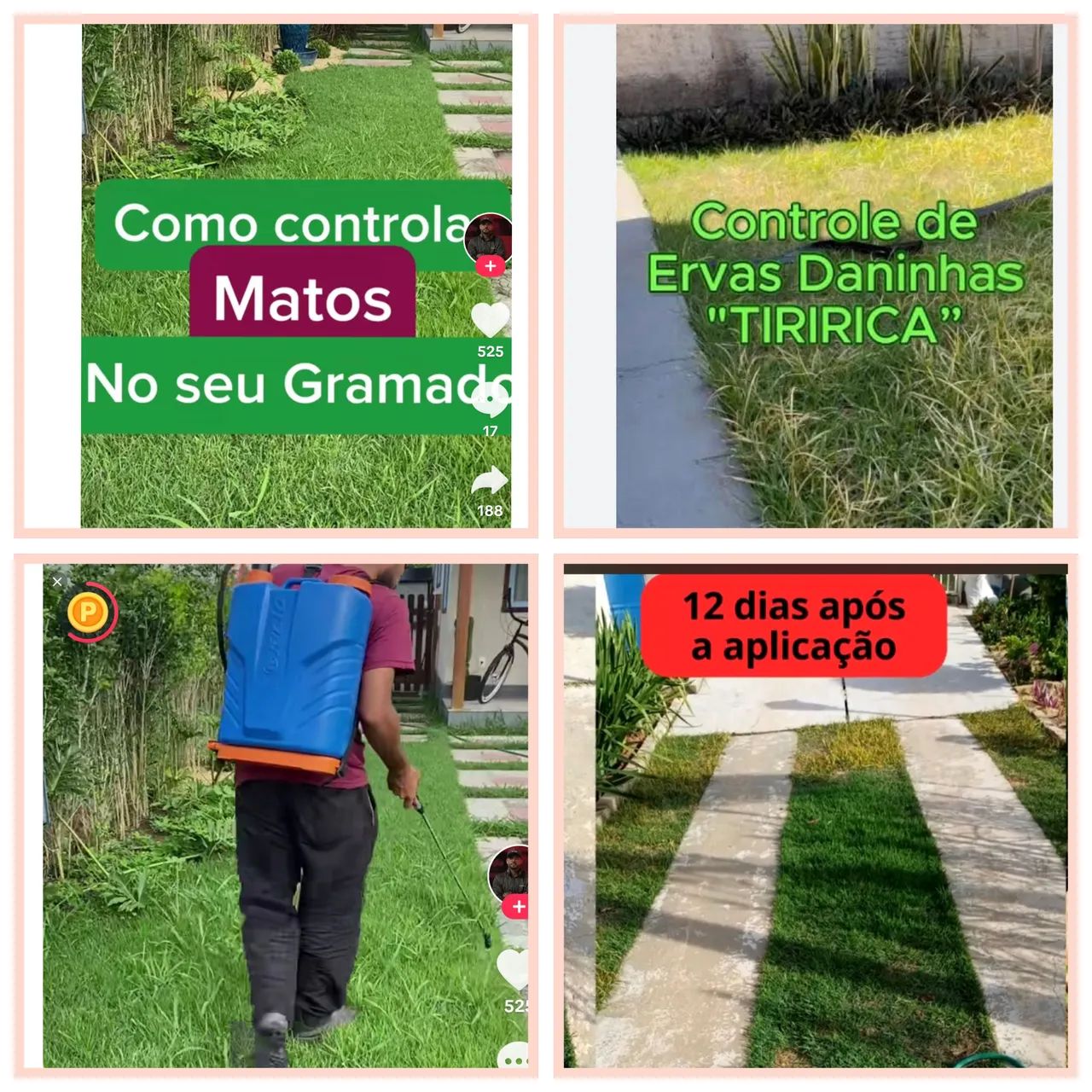 jardineiro,poda de grama e cuidado em geral. - Foto 2