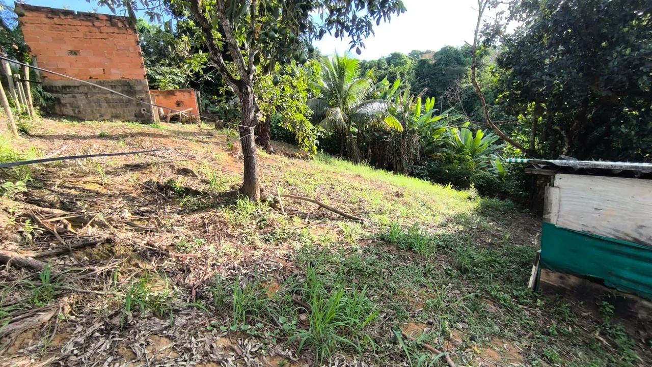 Vendo chácara em Belvedere 160 mil  - Foto 8