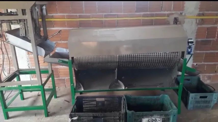 Máquina de cortar castanha  - Foto 3