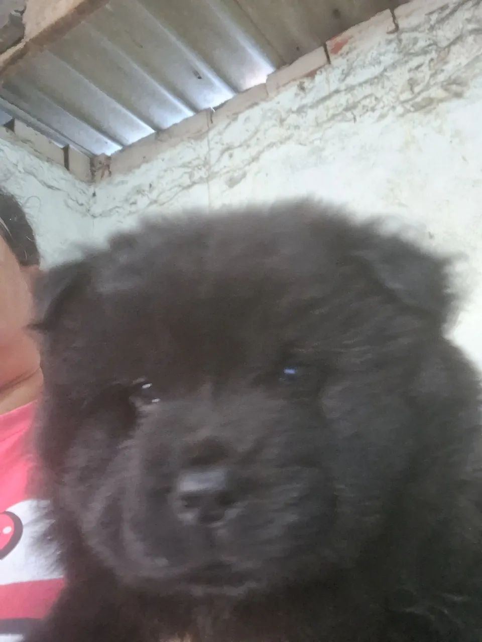 Vendo ou troca