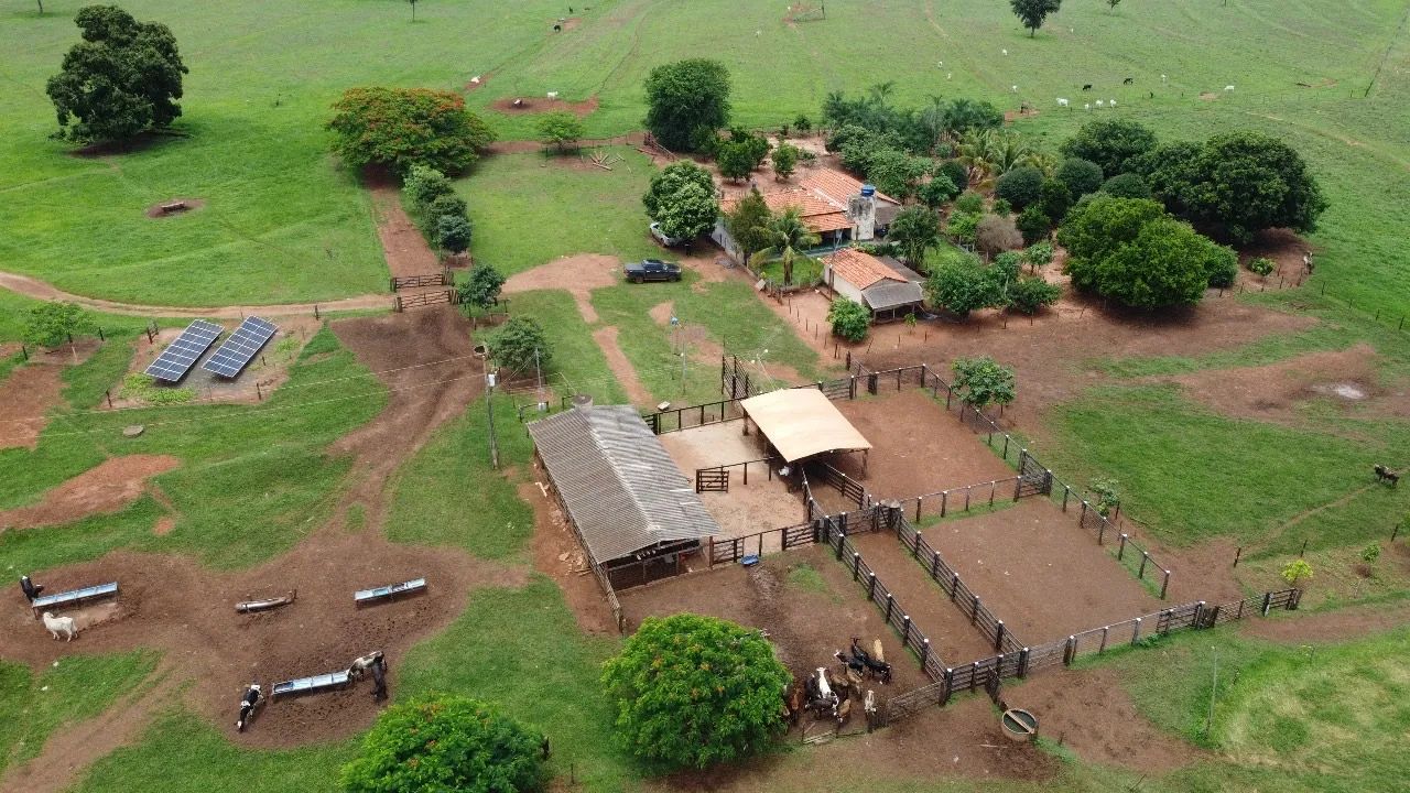 Fazenda dupla aptidão campina verde  - Foto 2