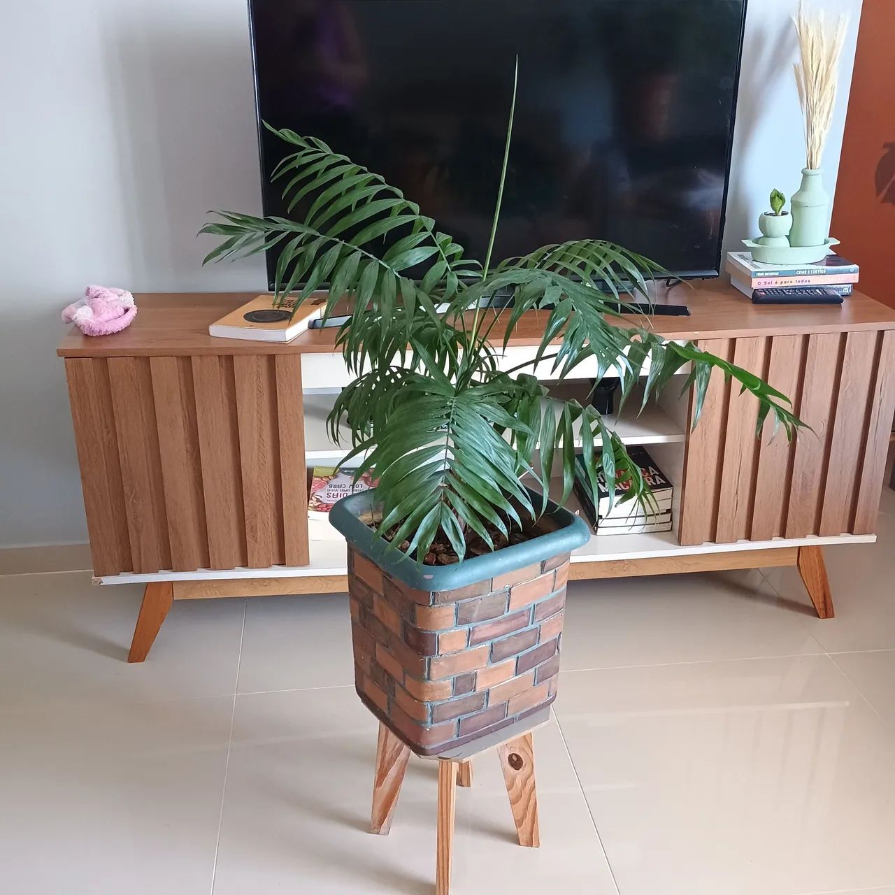 Folhagem natural - Foto 2