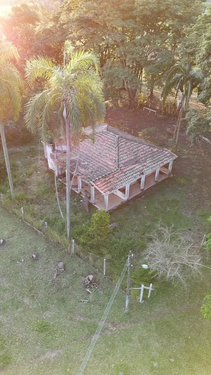 sitio com párea de 4,7 alqueires com ótima localização, e noa topografia - Foto 4