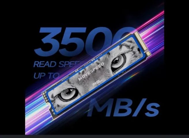 Nvme M.2 Movespeed 500gb