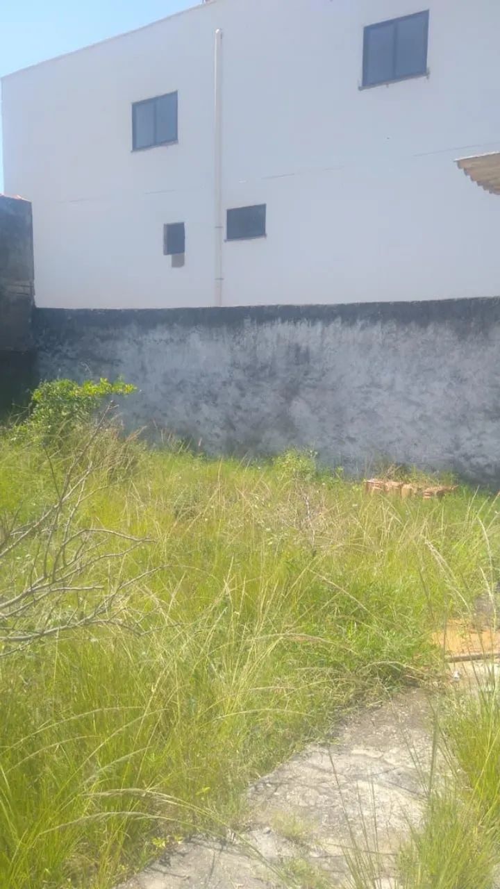 Limpeza de terreno com Roçadeira  - Foto 2