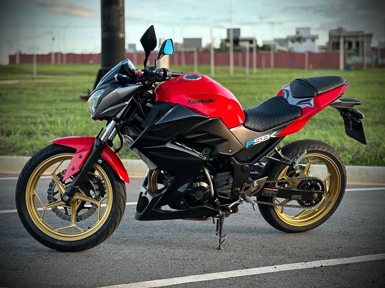 ジョーオーダーページ Kawasaki 300 2018 - 1492934532 | OLX