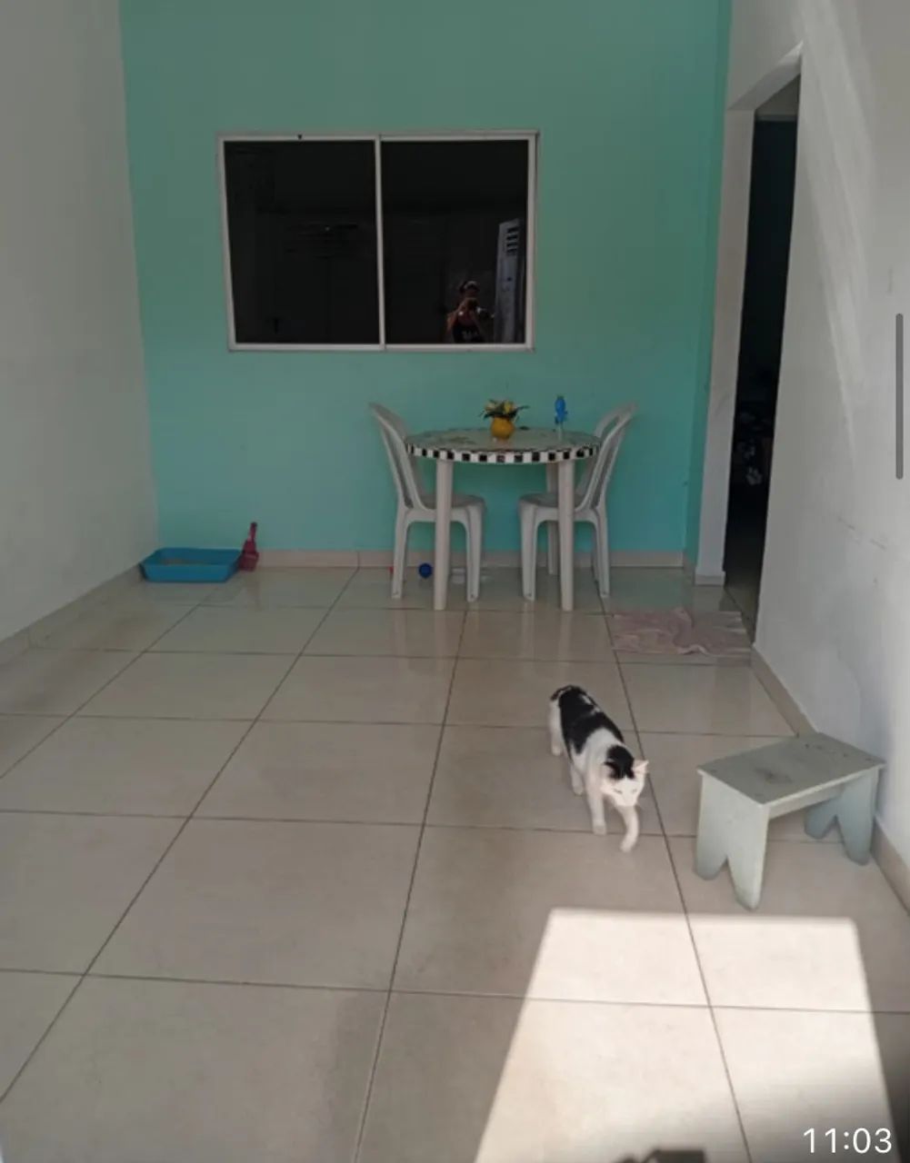 Ótima oportunidade casa Petrópolis 