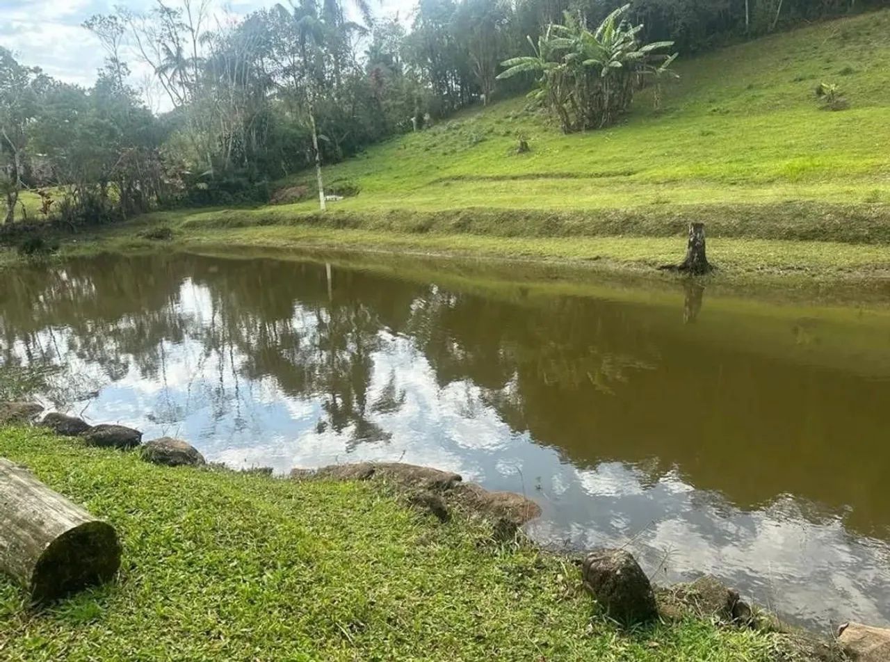 Chácara com 2 dormitórios à venda, 24000 m² por R$ 445.000 - Botujuru - Mogi das Cruzes/SP - Foto 9