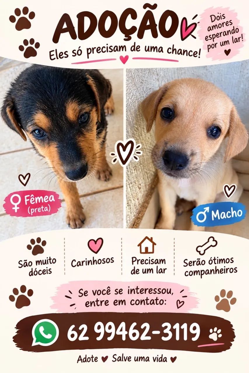 Doação de filhotes de cachorro