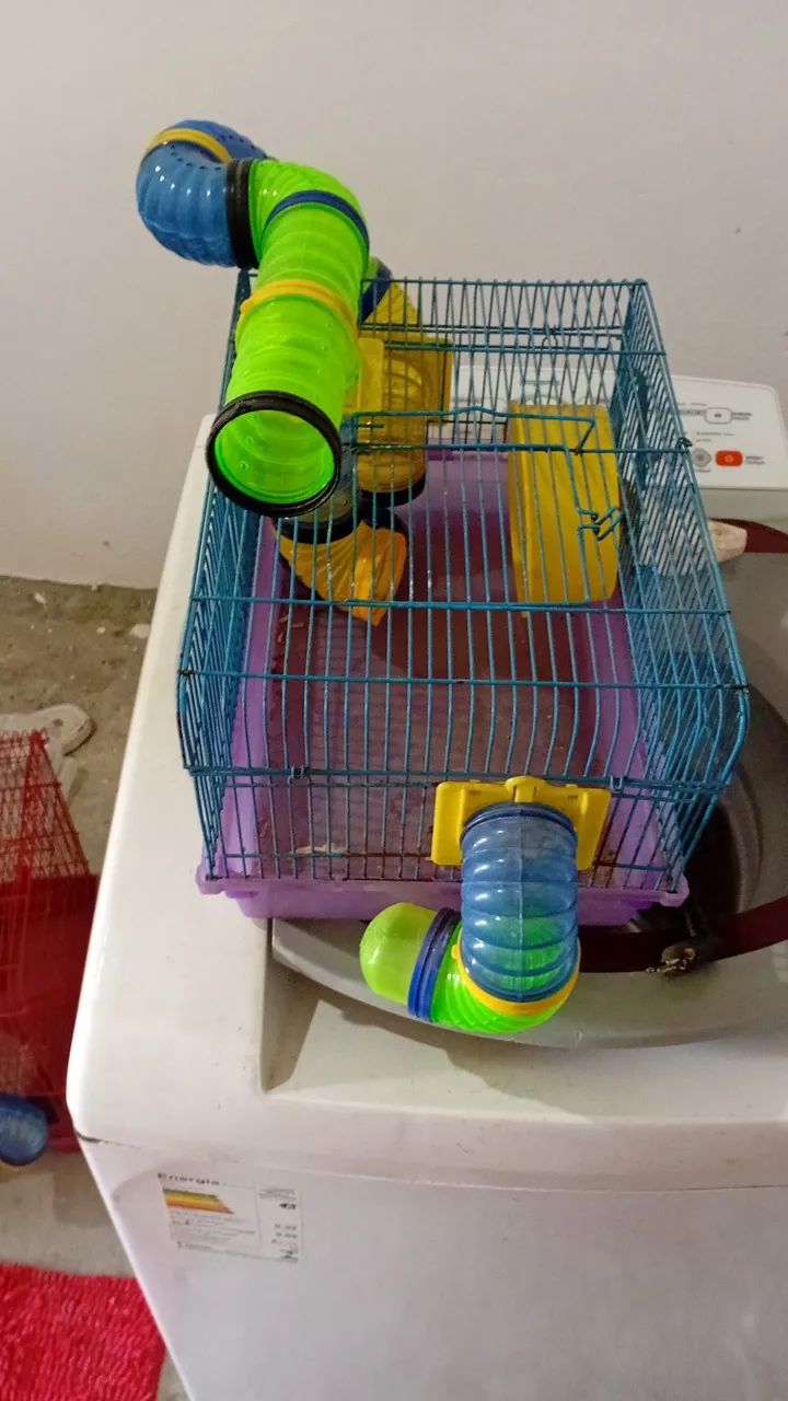 hamster cage65579480296194121
