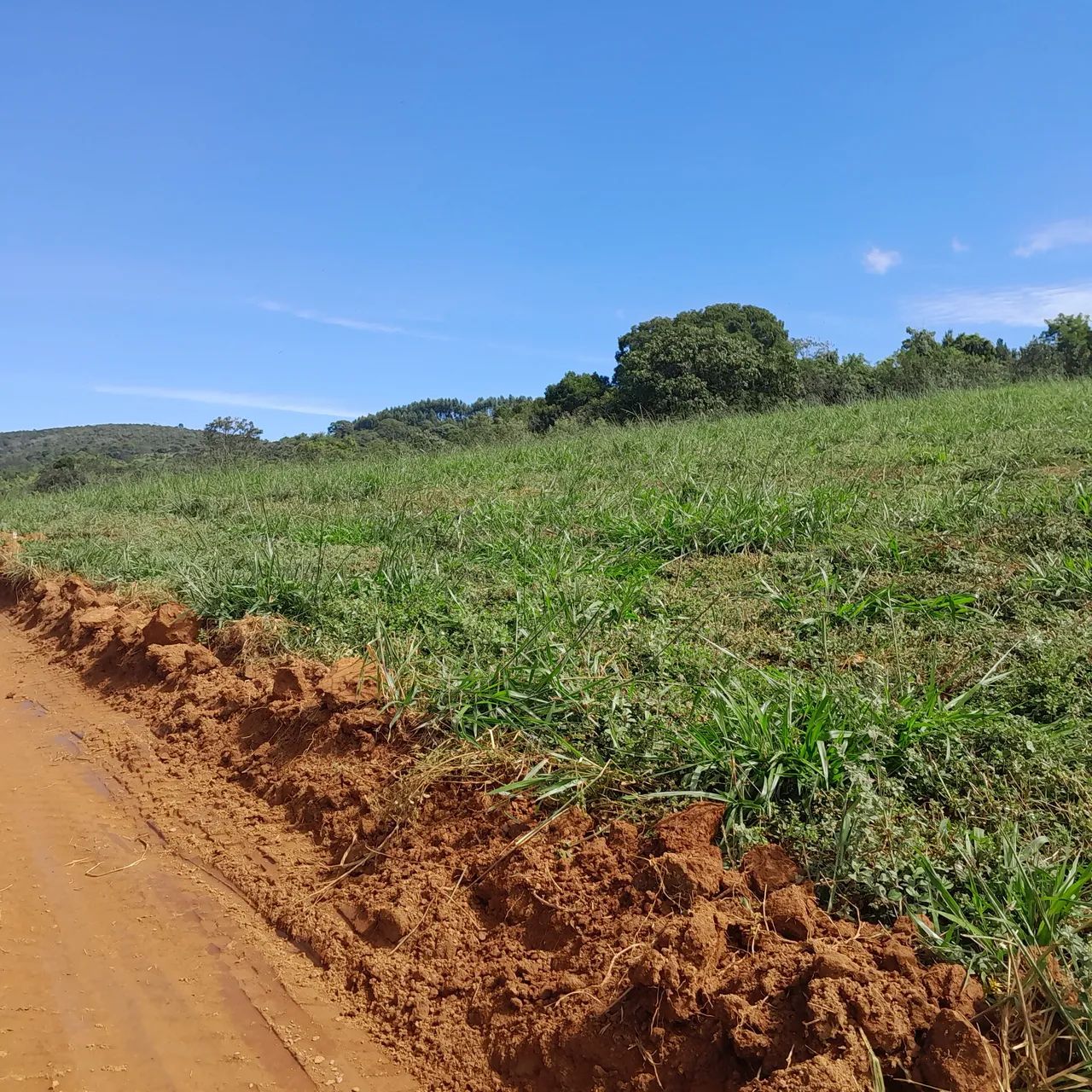 Chacaras rurais em mateus leme  - Foto 4