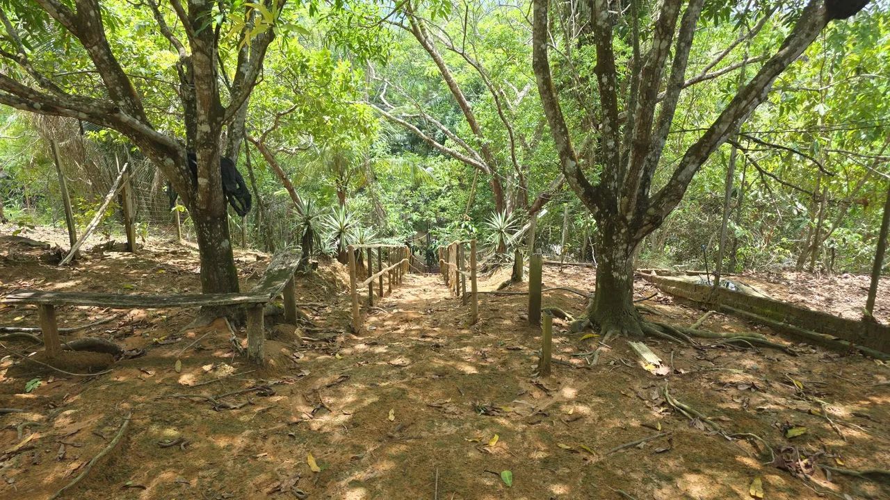 Chacara a Venda  - Foto 3
