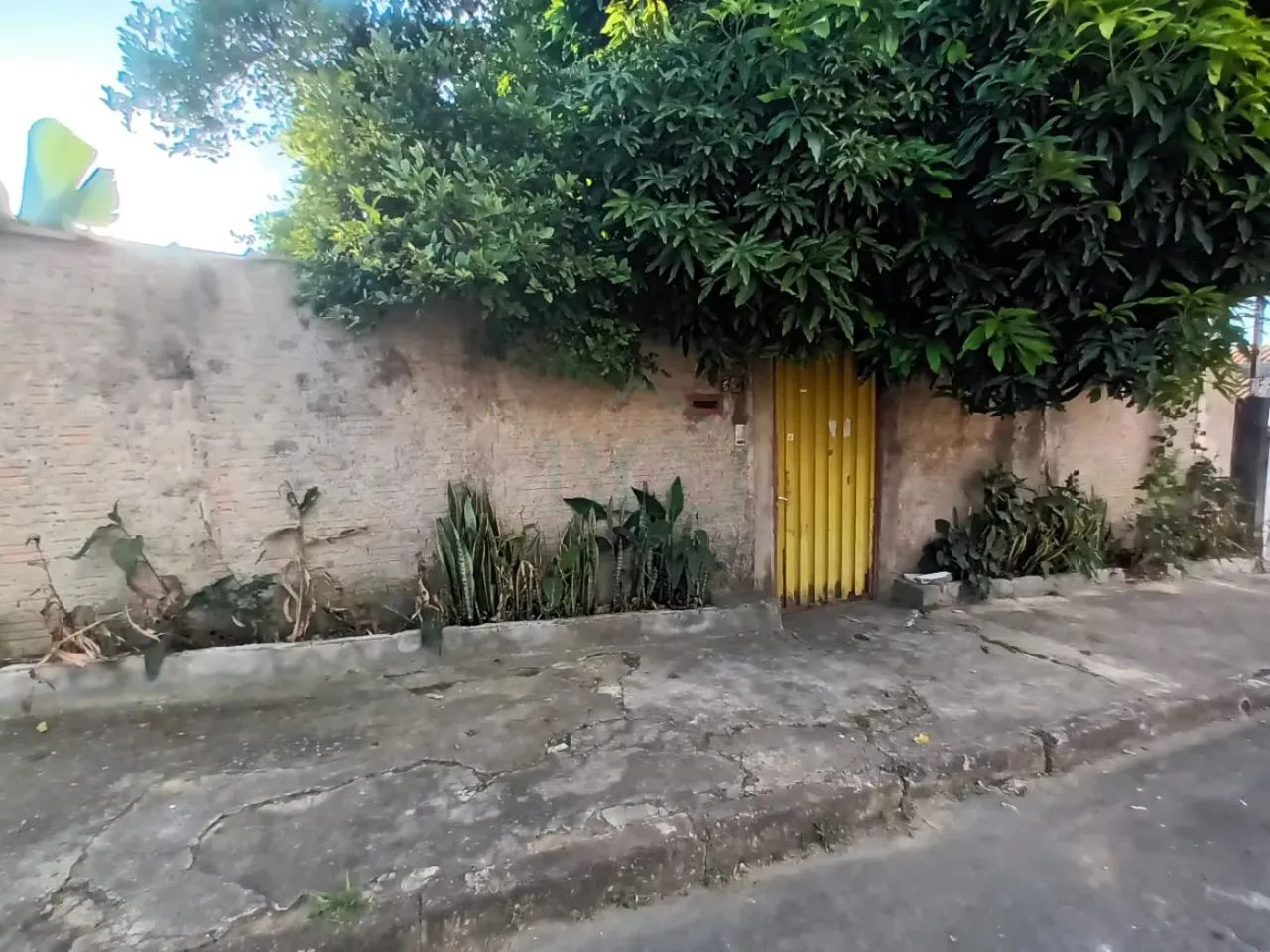Comercial Padrão em Poços de Caldas - Foto 3