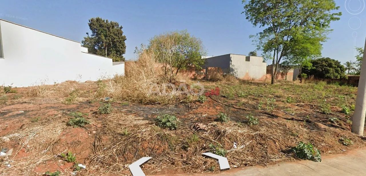 Lote Buriti Sereno - AV. GRAÇA ARANHA - Foto 2