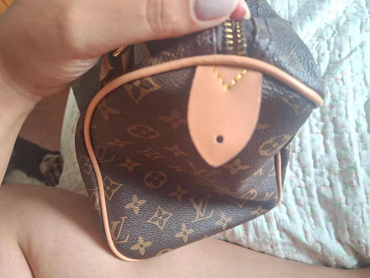 Bolsa Speedy Louis Vuitton 