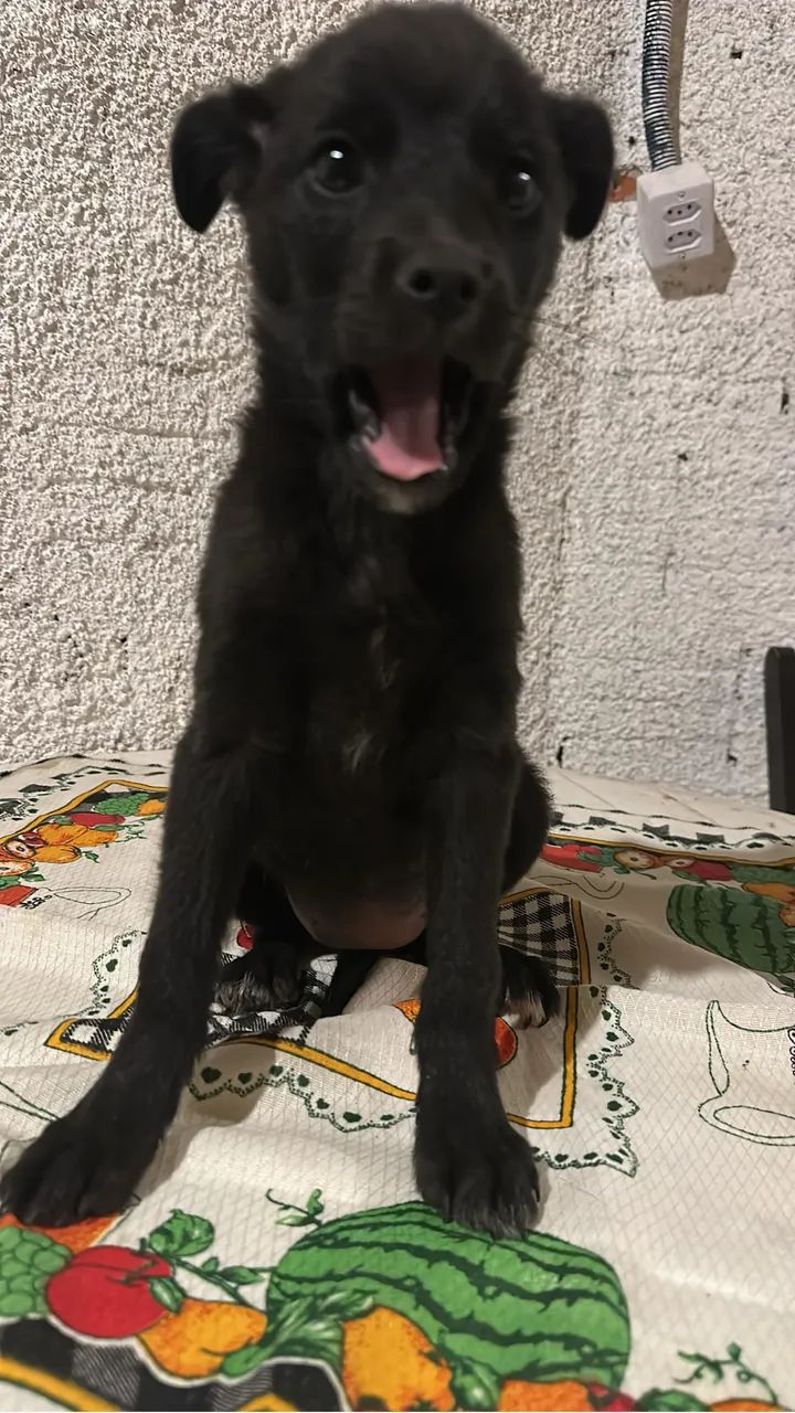 Doação 