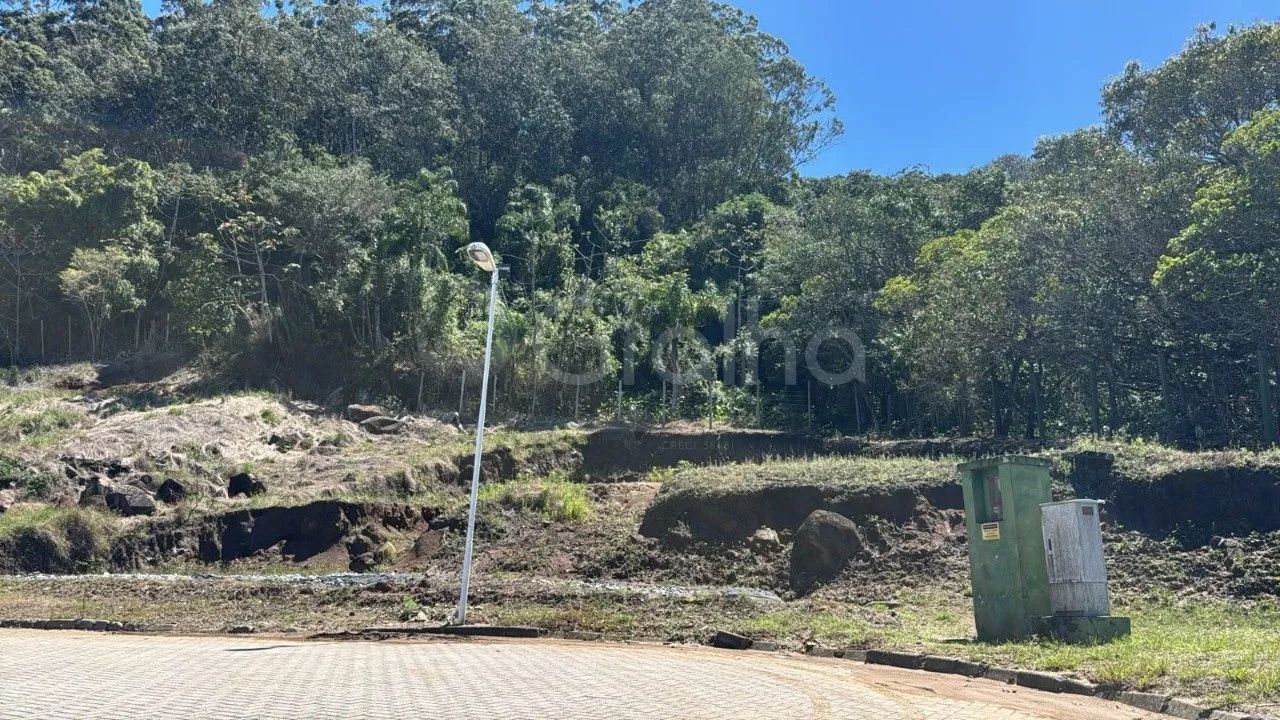 Terreno de 2251,84m² nos ingleses - Foto 3